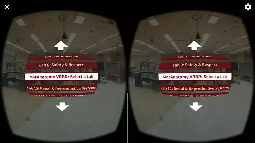 Play MacAnatomy VRBR: Virtual Reality Bell Ringer