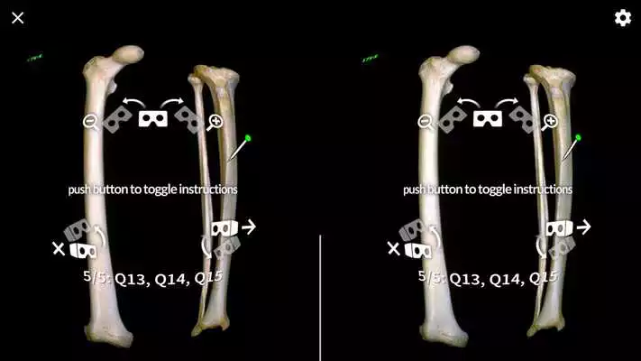 Play MacAnatomy VRBR: Virtual Reality Bell Ringer