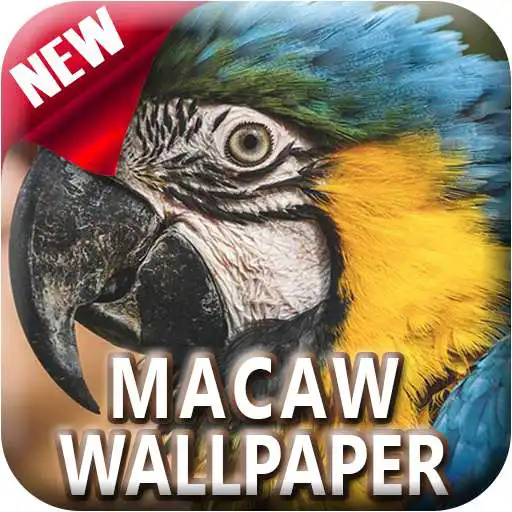 Play Macaw Bird Offline Wallpapers 4K HD APK Play Macaw Bird Offline Wallpapers 4K HD APK