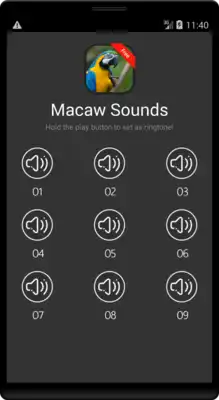Play Macaw bird sounds