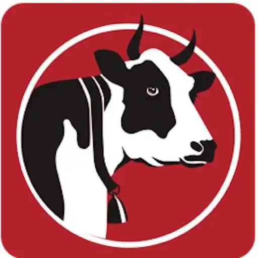 Play Macelleria Zema APK Play Macelleria Zema APK