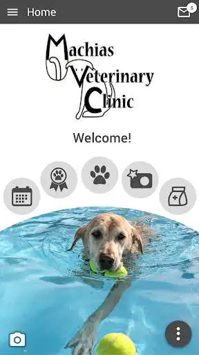 Play Machias Vet  and enjoy Machias Vet with UptoPlay