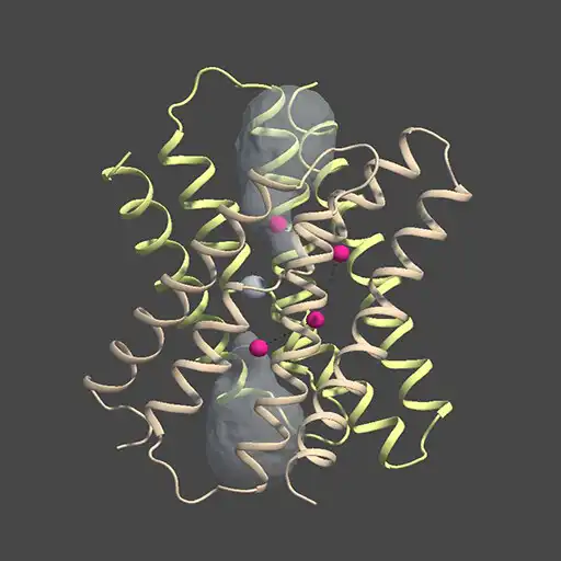 Play MacromoleculAR APK Play MacromoleculAR APK