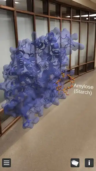 Play MacromoleculAR  and enjoy MacromoleculAR with UptoPlay