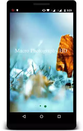 Play Macro Photography Backgrounds  and enjoy Macro Photography Backgrounds with UptoPlay Play Macro Photography Backgrounds  and enjoy Macro Photography Backgrounds with UptoPlay