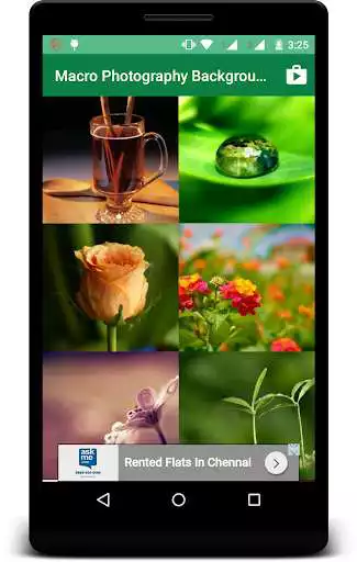 Play Macro Photography Backgrounds as an online game online Macro Photography Backgrounds with UptoPlay com.hdbackgroundsworld.macrophotographybackground Play Macro Photography Backgrounds as an online game Macro Photography Backgrounds with UptoPlay