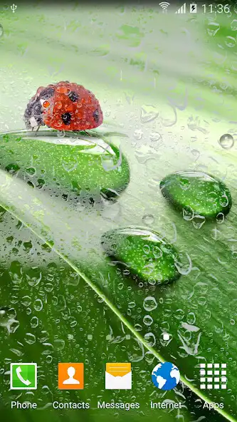 Play Macro Spring Live Wallpaper  and enjoy Macro Spring Live Wallpaper with UptoPlay