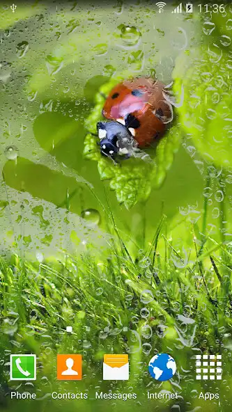 Play Macro Spring Live Wallpaper as an online game Macro Spring Live Wallpaper with UptoPlay
