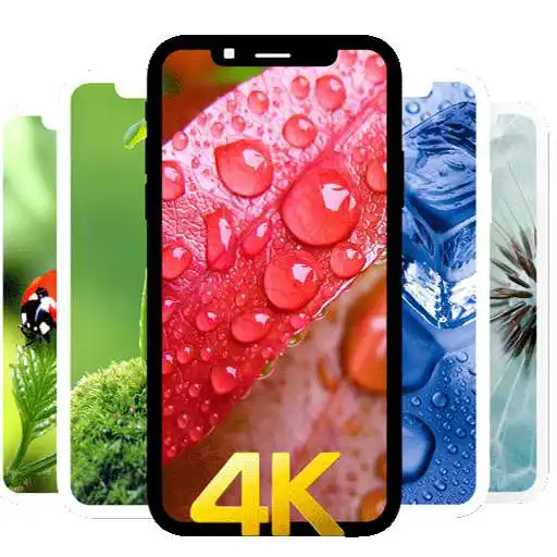 Play Macro Wallpaper 4K APK