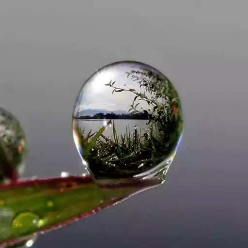 Free play online Macro Wallpaper HD APK Free play online Macro Wallpaper HD APK