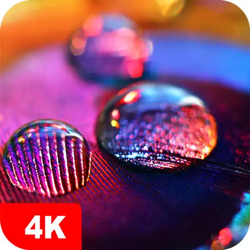 Play Macro Wallpapers 4K APK Play Macro Wallpapers 4K APK