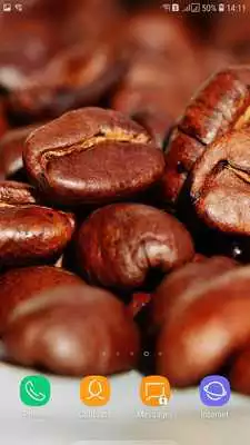 Play Macro Wallpaper Play Macro Wallpaper