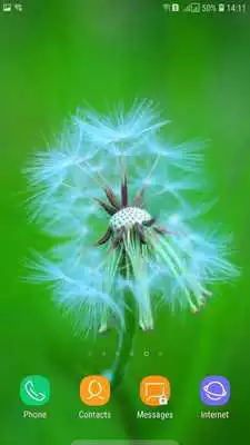 Play Macro Wallpaper Play Macro Wallpaper