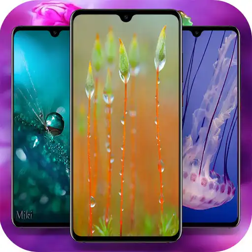 Play Macro Wallpapers APK Play Macro Wallpapers APK
