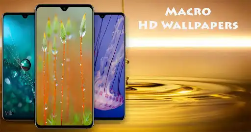 Play Macro Wallpapers  and enjoy Macro Wallpapers with UptoPlay