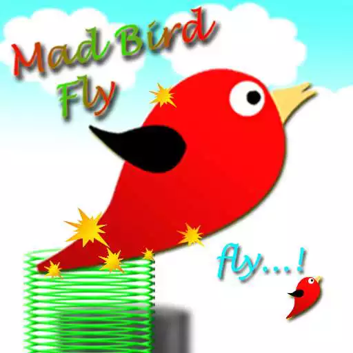 Play Mad Bird Fly APK
