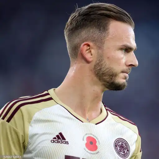 Play Maddison 4K Wallpaper APK