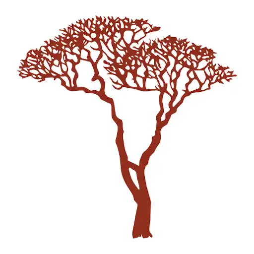 Play Madrona PT APK Play Madrona PT APK