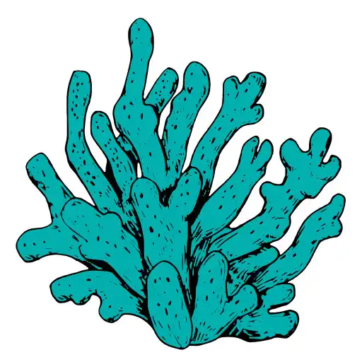 Play Madrèpora Oyster APK