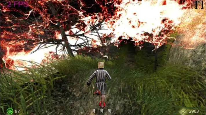 Play Mad Shroomz Run