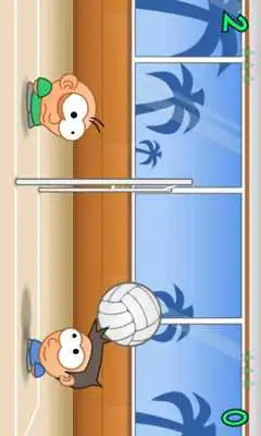 Play MadVolley