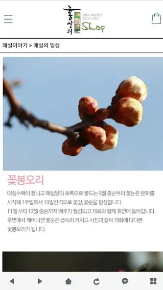 Play 홍쌍리 - maesil as an online game 홍쌍리 - maesil with UptoPlay