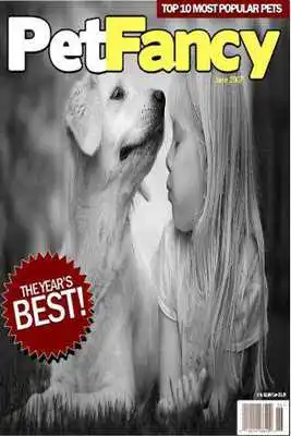 Play Magazine Cover Frame DIY