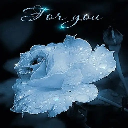 Play Magical Dewy Rose LWP APK Play Magical Dewy Rose LWP APK