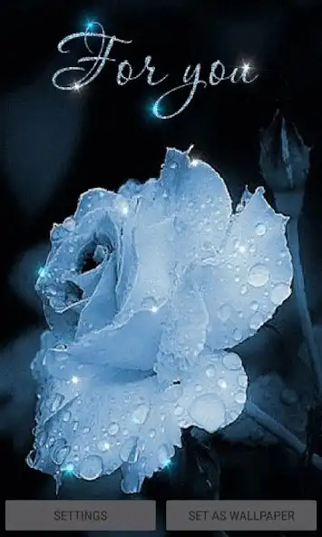 Play Magical Dewy Rose LWP  and enjoy Magical Dewy Rose LWP with UptoPlay