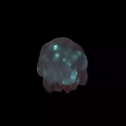 Play Magical Jelly Fish LWP APK