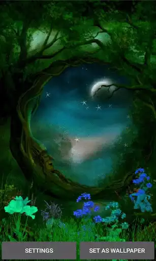 Play Magical Night Live Wallpaper