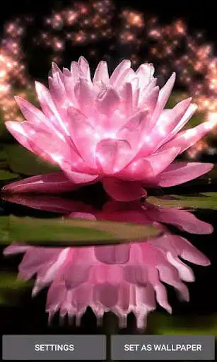 Play Magical Pink Flower LWP  and enjoy Magical Pink Flower LWP with UptoPlay