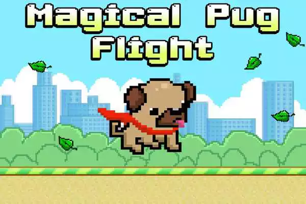 Play Magical Pug Play Magical Pug