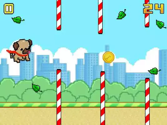 Play Magical Pug Play Magical Pug