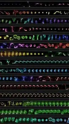 Play Magical Rays