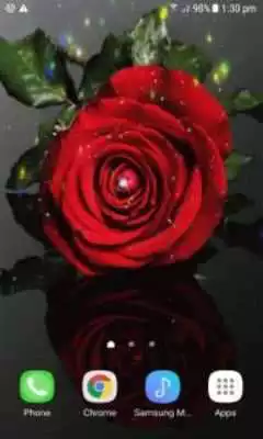 Play Magical Red Rose LWP