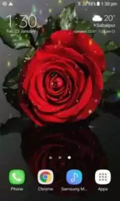 Play Magical Red Rose LWP