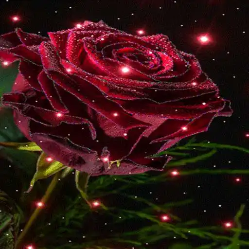 Free play online Magical Rose Live Wallpaper APK