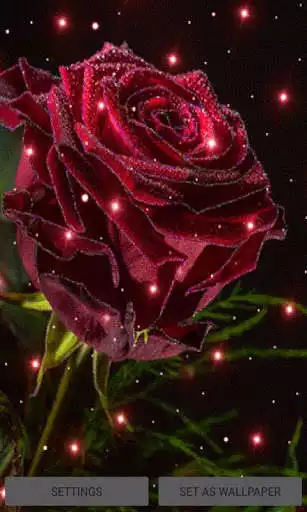 Play Magical Rose Live Wallpaper
