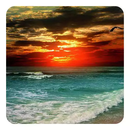 Free play online Magical Sunset Live Wallpaper APK Free play online Magical Sunset Live Wallpaper APK