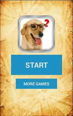 Play Magic Ball. Ask the dog