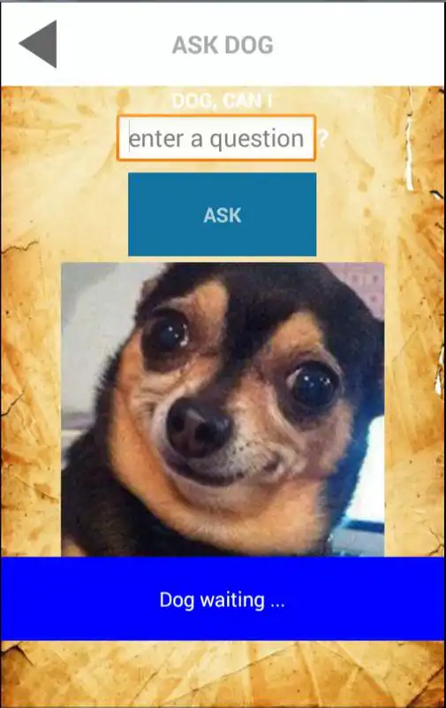 Play Magic Ball. Ask the dog