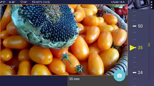 Play Magic Canon ViewFinder Free