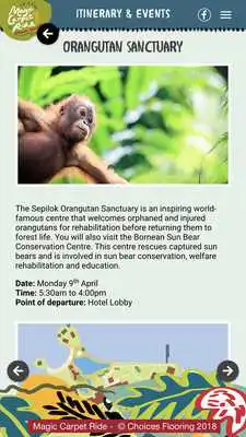 Play Magic Carpet Ride 2018