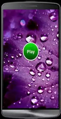 Play Magic Cats Game