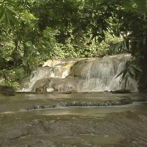 Free play online Magic cool brook APK