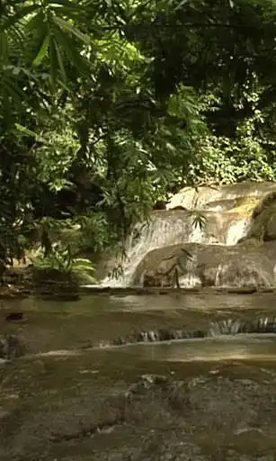 Play Magic cool brook Play Magic cool brook