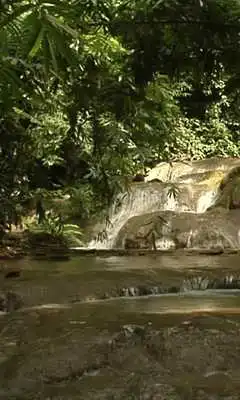 Play Magic cool brook Play Magic cool brook