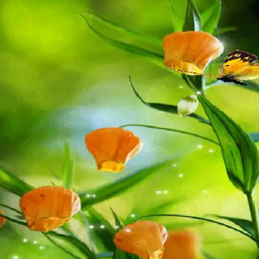 Play Magic Flowers Butterfly LWP APK Play Magic Flowers Butterfly LWP APK