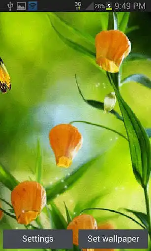 Play Magic Flowers Butterfly LWP  and enjoy Magic Flowers Butterfly LWP with UptoPlay